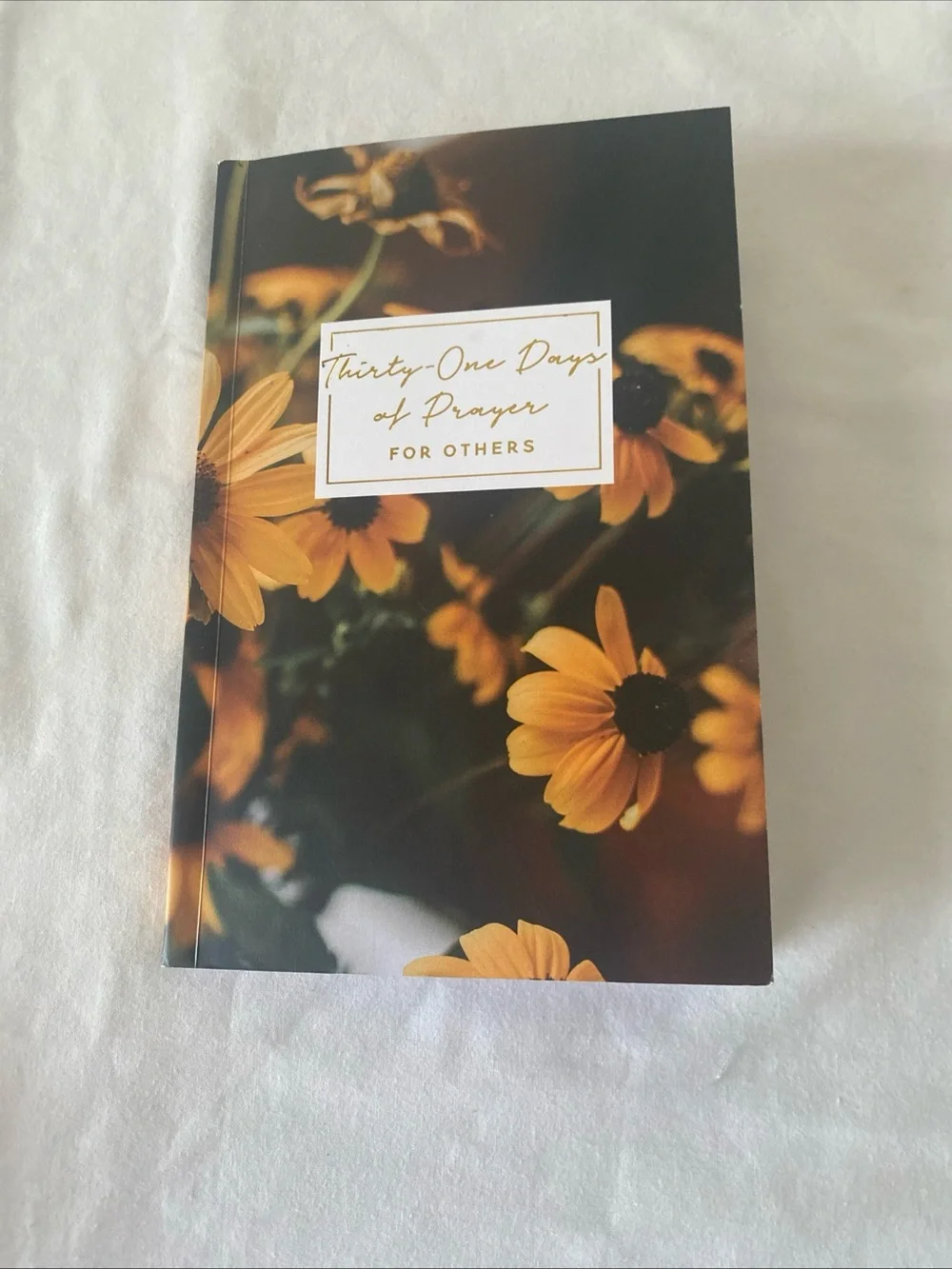 The Daily Grace Co. Thirty-One Days of Prayer for Others Paperback 2022 ISBN